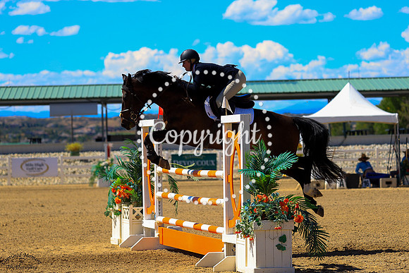 Soulflight_(131)_20250910_1719