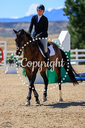 Soulflight_(131)_20250910_1727