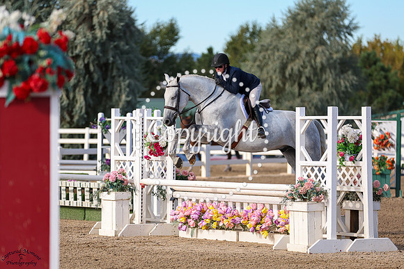 Untouchable_Hillside_Hh_(537)_20250911_0358