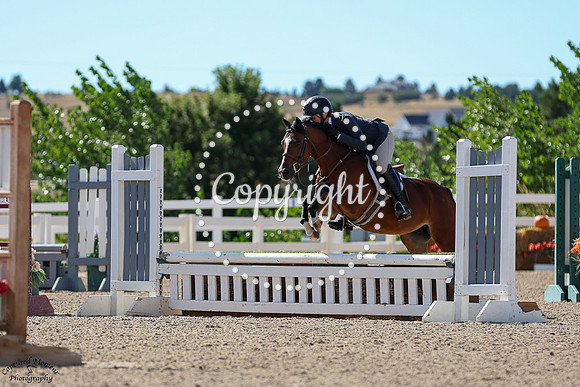Woodlands_Qt_Pie_(365)_20250910_5898