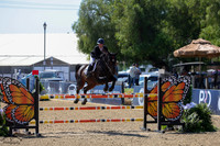 CLARK_(133)_20250914_3049