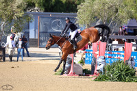 DELPHINE_(578)_20250914_3406