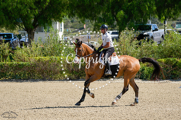 ENZO_(194)_20250912_5480