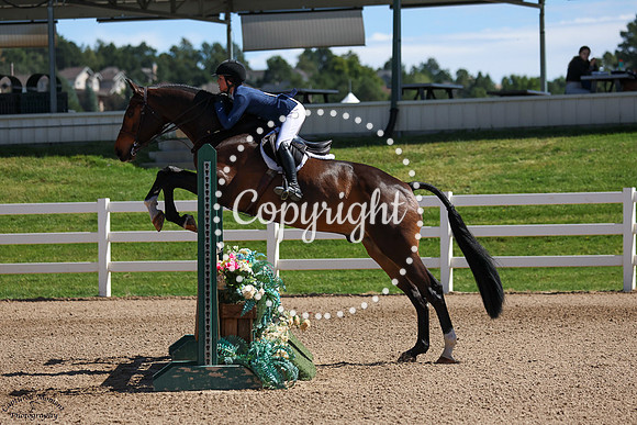 Salinero_(199)_20250911_0055