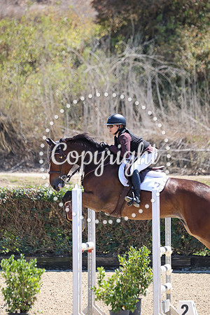 PLOTTI_2_(625)_20250914_3928