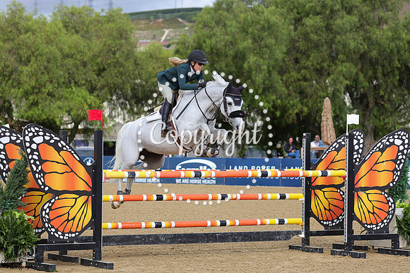 KEEP_CALM_L_(411)_20250910_0577