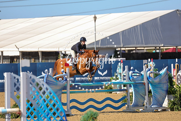 BROMIGO_(1360)_20250919_2661