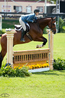 CALIF_CR_(1119)_20250918_4339