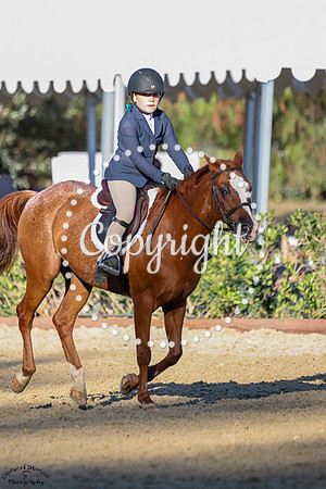 MONTE_CRISTO_(1036)_20250919_1138