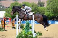 PERFECT_BLUE_Z_(1098)_20250917_7199