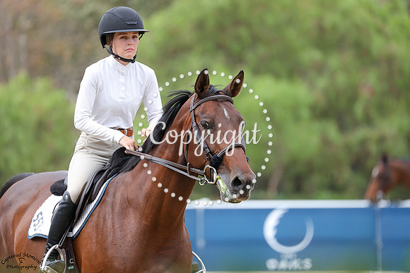 QUELLCRIST_FALCONER_(553)_20250918_6187