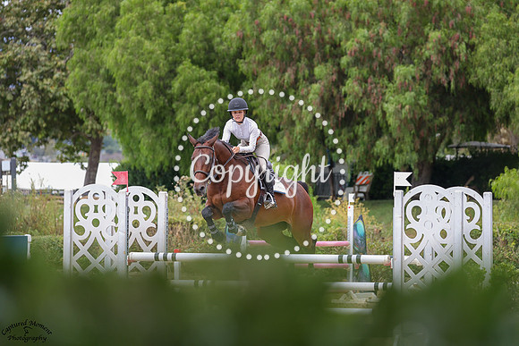 QUELLCRIST_FALCONER_(553)_20250918_6198