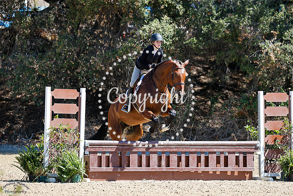 LANKY_YANKEE_(129)_20250919_1043