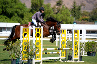 PARCIVAL_(1262)_20250920_1088