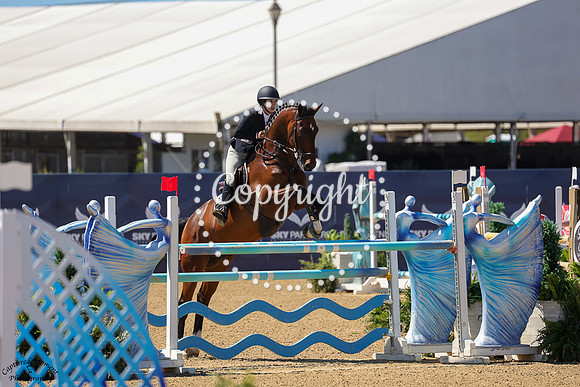 DODO_(879)_20250919_3406