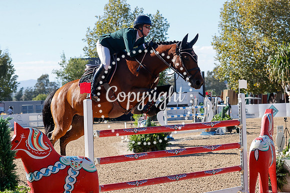 COCETTE_DU_PLEVAU_Z_(175)_20251002_0385