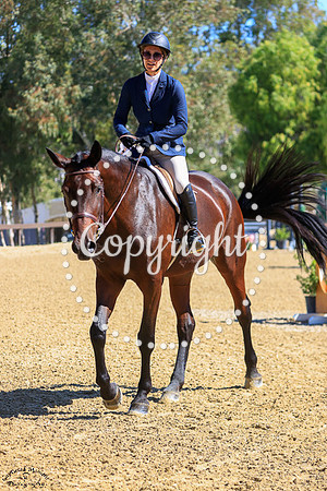 CORONETS_QUEEN_(288)_20251002_0786