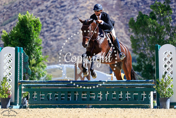 CORONETS_QUEEN_(288)_20251002_0824