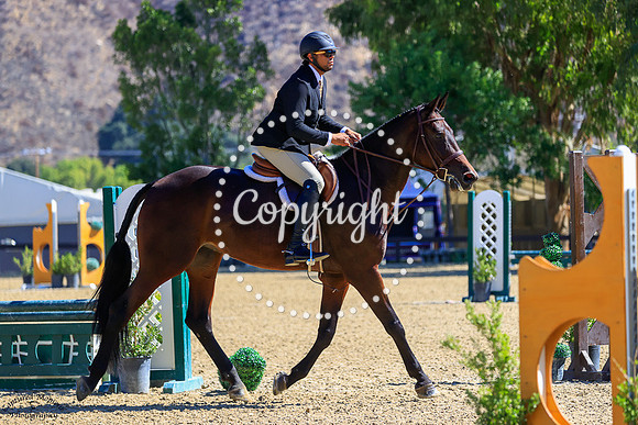 CORONETS_QUEEN_(288)_20251002_0829