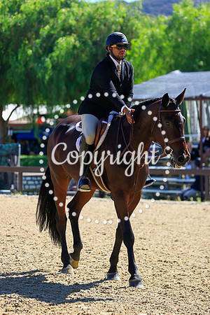 CORONETS_QUEEN_(288)_20251002_0830