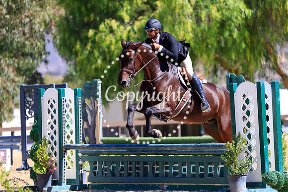 CORONETS_QUEEN_(288)_20251002_0838