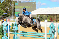 GUCCI_VAN_FIL_HORSES_Z_(196)_20251003_2730