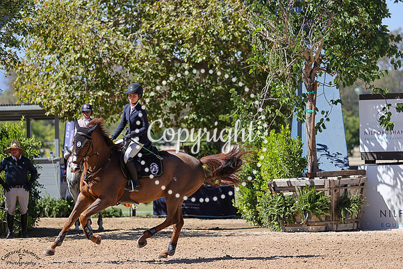 PENTURIO_VAN_STRIJTEM_(170)_20251003_1791