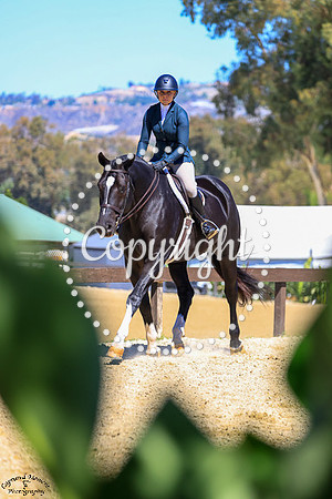 PKS_PLAYER_(209)_20251002_0957