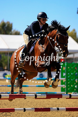 WHISPER_T_(322)_20251001_0453
