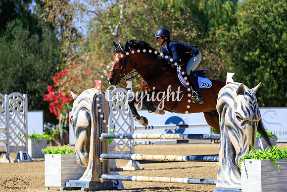 WHISPER_T_(322)_20251001_0455