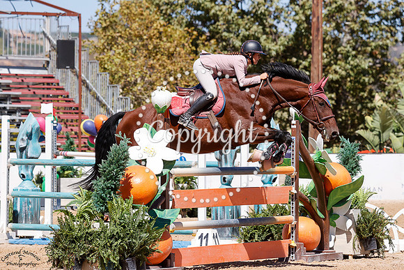 WHISPER_T_(322)_20251002_0136