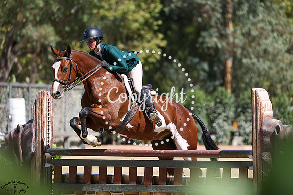 A_SPLASH_OF_PLATINUM_(297)_20251001_8675