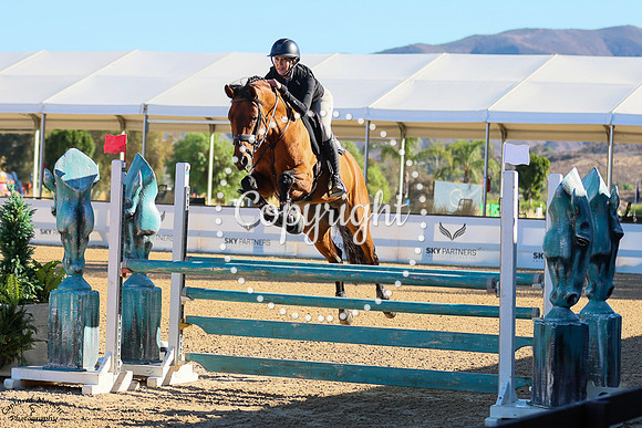 Argenthargos_(356)_20251003_1276