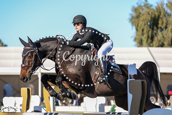 CHAMAN_BARBOTIERE_(338)_20251005_1685
