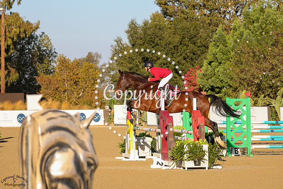 BARKER_(985)_20251008_0193