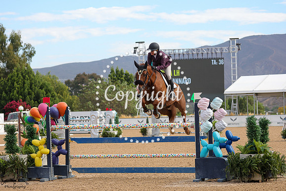 CALIGULA_LH_(436)_20251010_5624