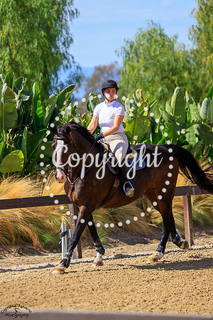 JERI_(919)_20251010_1461