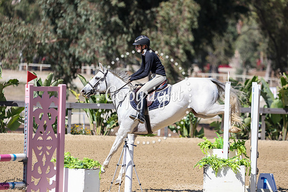 JUMP_JUMP_GOOSE_(595)_20251009_1550