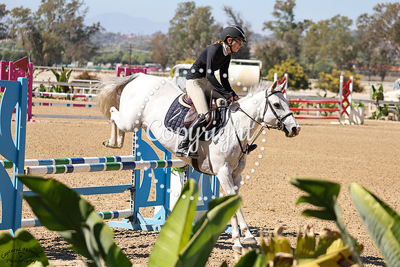 JUMP_JUMP_GOOSE_(595)_20251009_1567