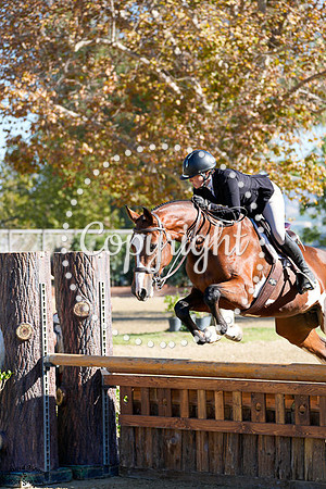 A_Splash_of_Platium_(297)_20251008_0111