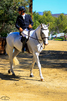 CALIMERO_707_(816)_20251008_2985