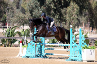 DIDICAS_(493)_20251009_1416