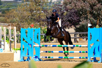 DIDICAS_(493)_20251010_1346