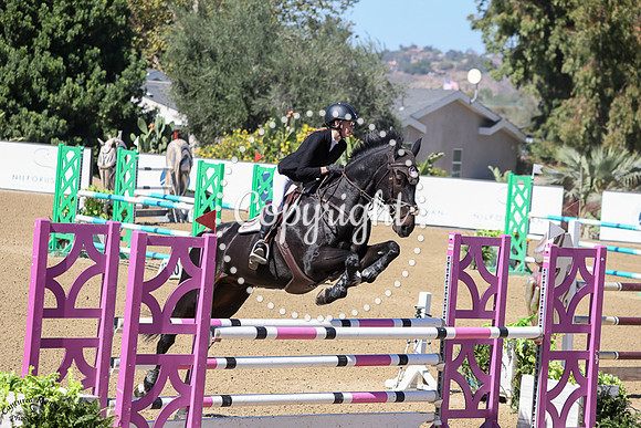 FIGARO_M_(815)_20251011_4560