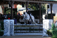 L_URS_DU_KESKE_(410)_20251011_0253