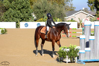 OLYMPUS_(982)_20251008_0596