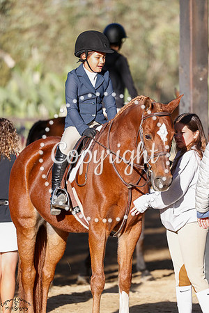 Butterscotch_(1354)_20241019_0572