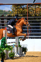 CHAMP_L_(1199)_20251015_2795