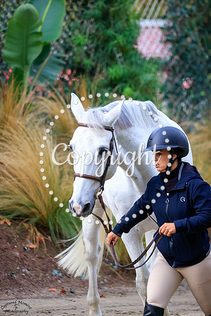 ZANDRO_DE_LAUBRY_Z_(1015)_20251015_1536