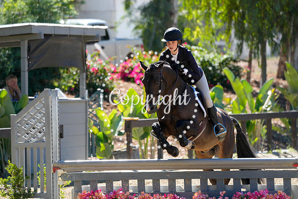 BLACK_TIE_AFFAIR_(413)_20251017_5351